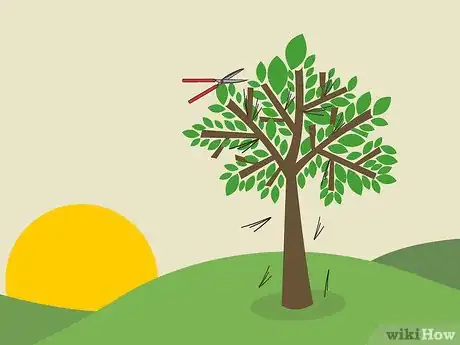 Image titled Prune Guava Trees Step 2