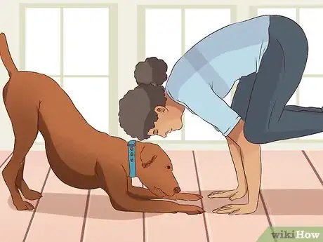 Image titled Exercise With Your Dog Step 17