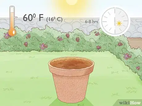 Image titled Grow Big Tomatoes Step 8