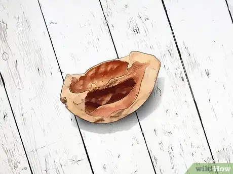 Image titled Identify Hickory Nuts Step 5