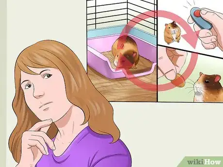 Image titled Toilet Train a Hamster Step 10