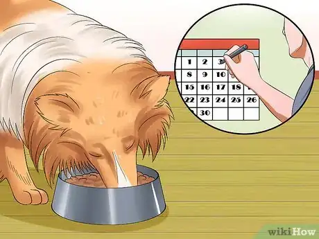 Image titled Care for Shelties Step 7