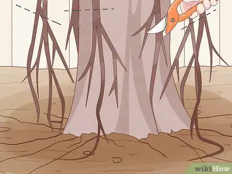 Image titled Trim Weeping Cherry Step 5