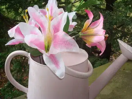 Image titled Pinksideview004 13