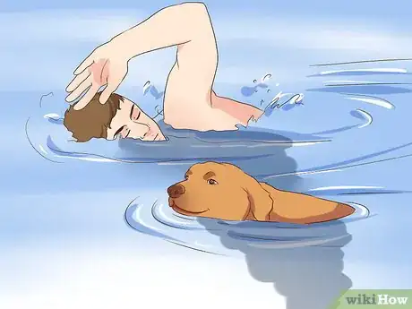 Image titled Exercise With Your Dog Step 13