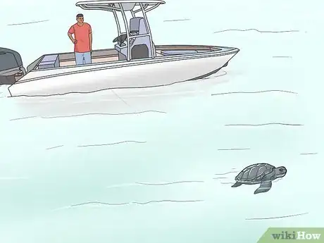 Image titled Save the Turtles Step 11
