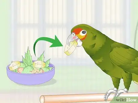 Image titled Set Up an Amazon Parrot Habitat Step 13