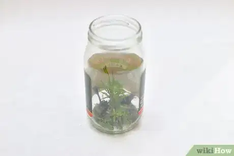 Image titled Make Marinated Goat Cheese Step 1