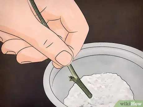 Image titled Grow Snowball Trees Step 10