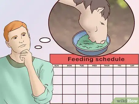 Image titled Feed a Horse a Mint Step 10