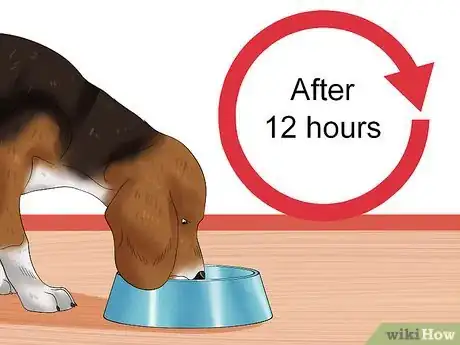 Image titled Cure Frequent Dog Vomiting Step 7