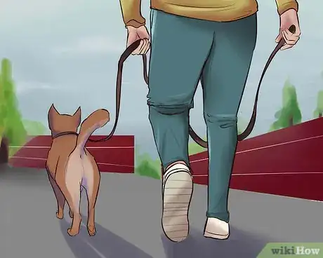 Image titled Save a Dog Whose Owner Is Relocating Step 12