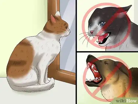 Image titled Treat Feline Retinal Disease Step 10