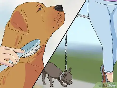 Image titled Fly Internationally With a Dog Step 11