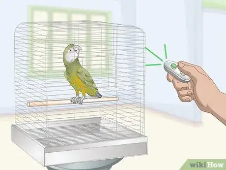 Image titled Deal with a Fearful or Stressed Senegal Parrot Step 8
