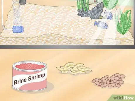 Image titled Build a Freshwater Predator Fish Aquarium Step 14