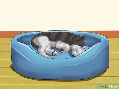 Image titled Love Your Puppy Step 12