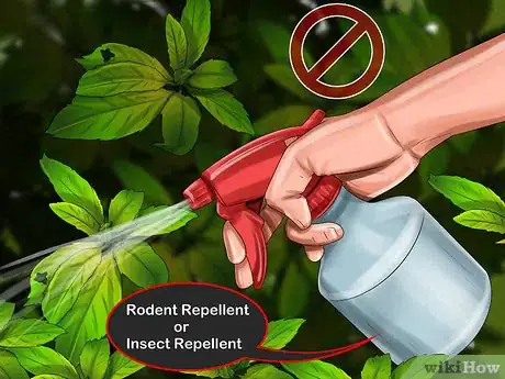 Image titled Attract Barn Owls Step 7