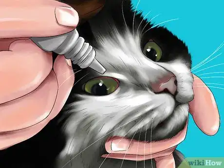 Image titled Treat Keratitis in Cats Step 3