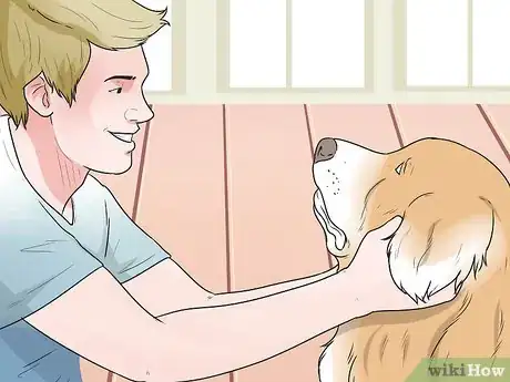 Image titled Train a Dog to Respond to Voice Commands Step 4