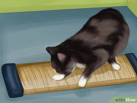 Image titled Choose a Scratching Post or Pad for Your Cat Step 3