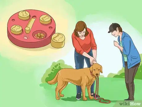 Image titled Manage Behavioral Dysfunction in Older Dogs Step 7