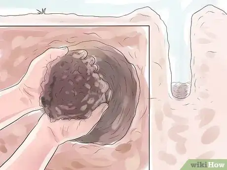 Image titled Plant Peonies Step 8