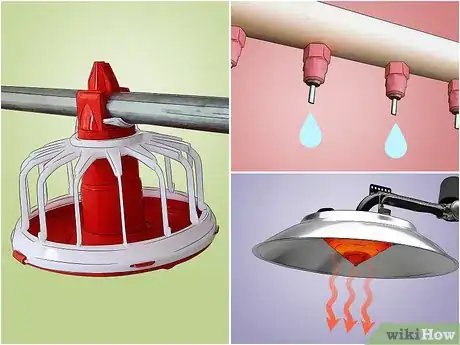 Image titled Be a Poultry Farmer Step 9