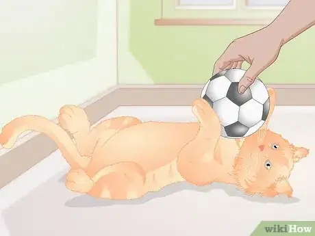 Image titled Find Alternatives to De Clawing Your Cat Step 3