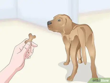 Image titled Teach a Dog to Leave It Step 11