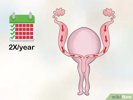 Image titled Know When to Breed Your Dog Step 3