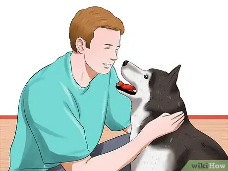 Image titled Deal with Having a Visually Impaired Dog Step 2