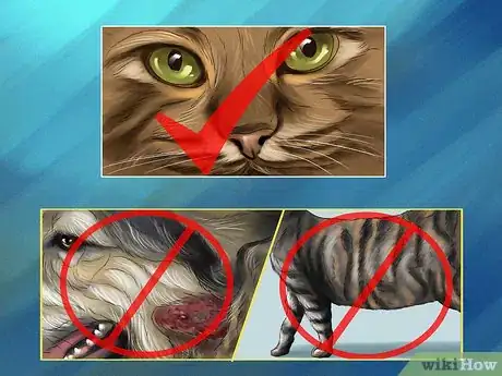 Image titled Choose a Pet from a Pet Store Step 8