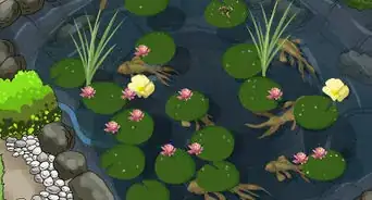 Make a Pond