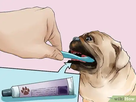Image titled Groom Pugs Step 7