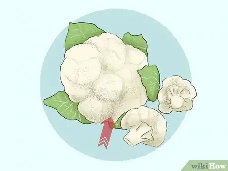 Image titled Tell if Something's Spoiled Step 2