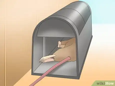 Image titled Catch a Rodent in Your House Step 10