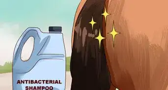 Apply a Horse Tail Bandage