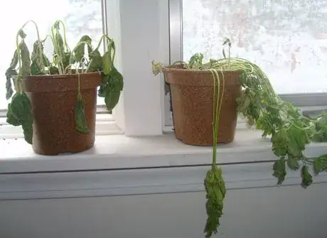 Image titled Don'tdespair