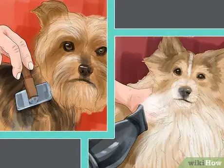 Image titled Keep Toy Breed Dogs Safe Around Kids Step 11