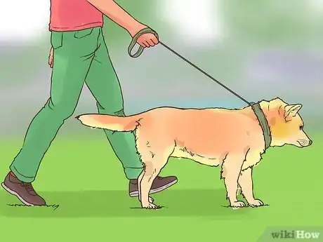 Image titled Protect Dog Paws Step 9