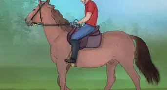 Prepare to Ride a Horse