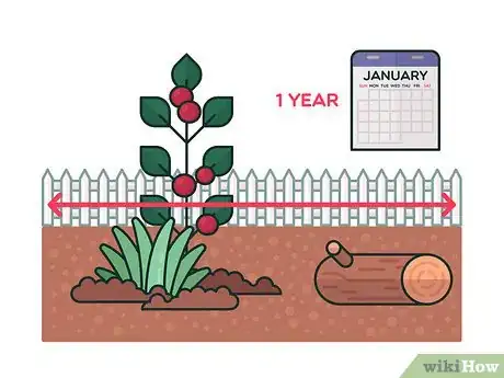 Image titled Get Rid of Ivy Step 9