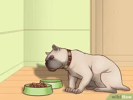 Image titled Keep Your Dog Safe on Halloween Step 14