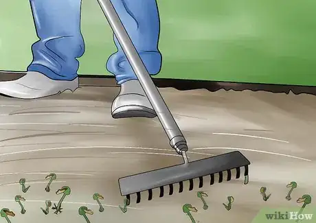 Image titled Germinate Beans on Moist Kitchen Paper Step 13