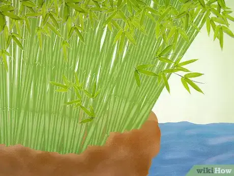 Image titled Plant a Clumping Bamboo Step 2