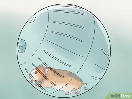 Image titled Care for a Hamster Step 25