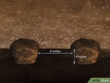 Image titled Grow Tiger Lilies Step 5