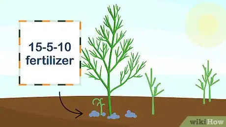 Image titled Grow Dill Step 10