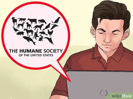 Image titled Find Low Cost Dog Training Step 8